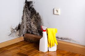 Mold Remediation for Vacation Homes in Nesquehoning, PA